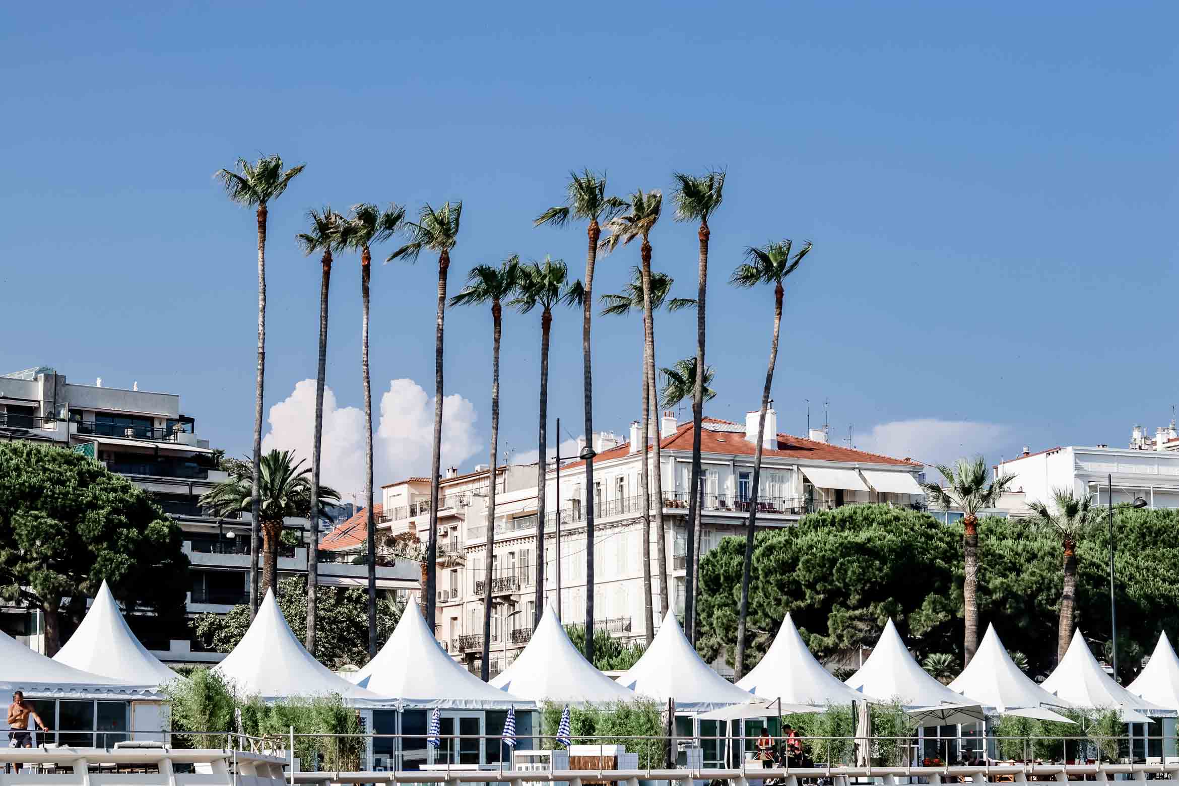 Cannes Hotel Majestic Barriere