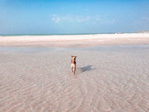 Sri Lanka Beaches