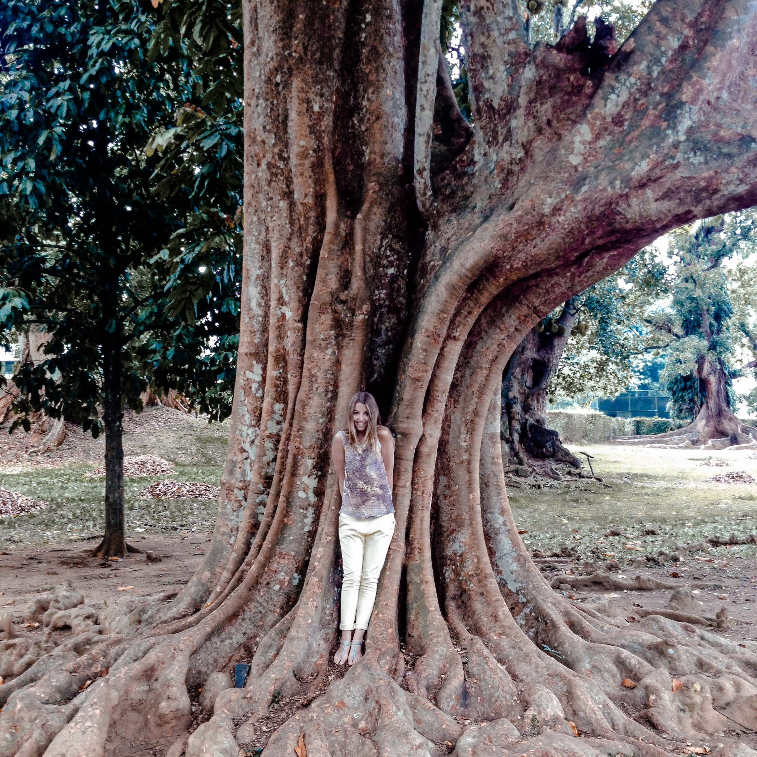 Sri Lanka Rundreise