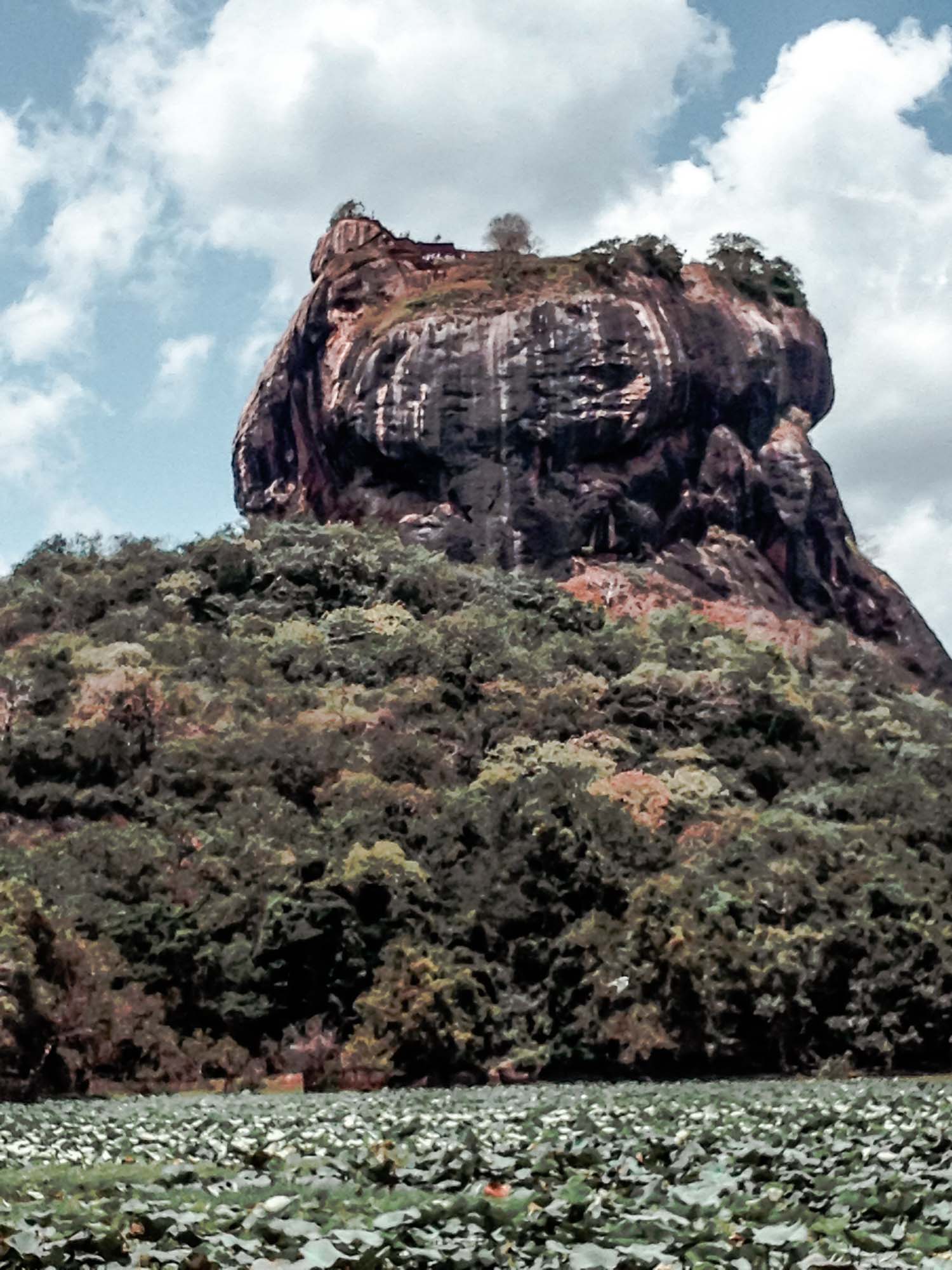 Sri Lanka Ausflüge: Sigiriya Rock
