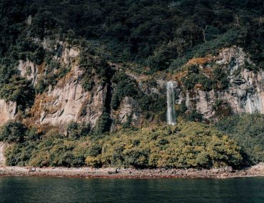 milford sound cruise