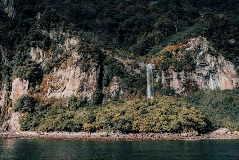 milford sound cruise