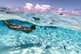 Schnorcheln in der Aitutaki Lagoon