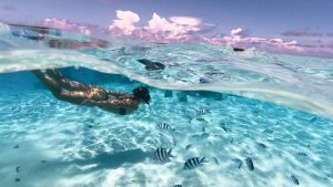 Schnorcheln in der Aitutaki Lagoon