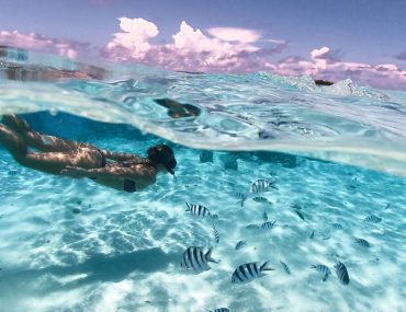 Schnorcheln in der Aitutaki Lagoon