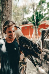 Akumal Natura Rescue